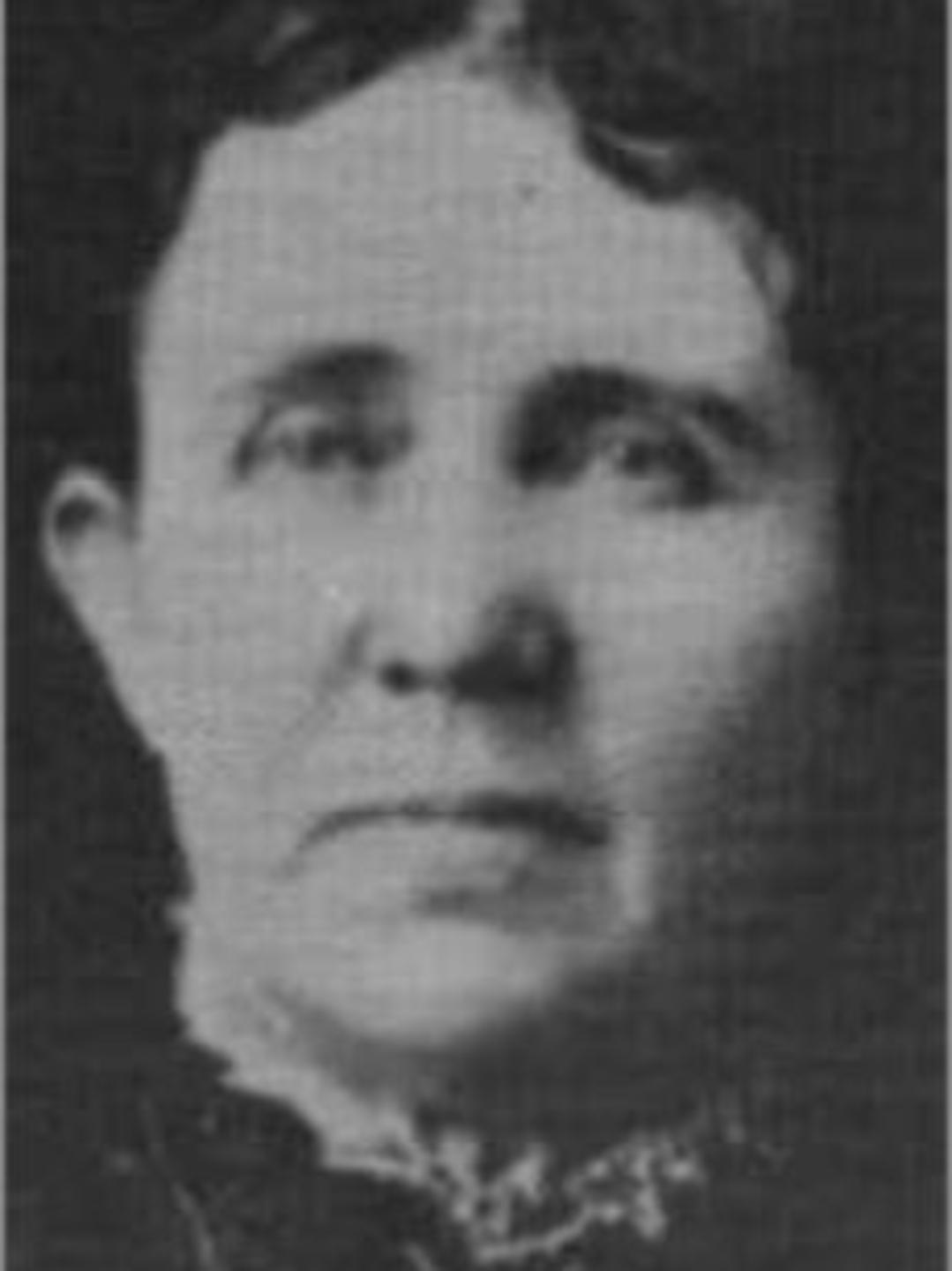 Amanda Melvina Richardson (1849 - 1913) Profile